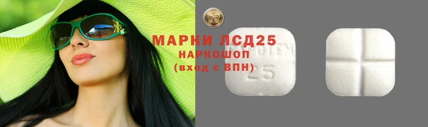винт Аркадак