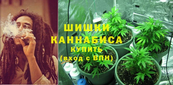 винт Аркадак