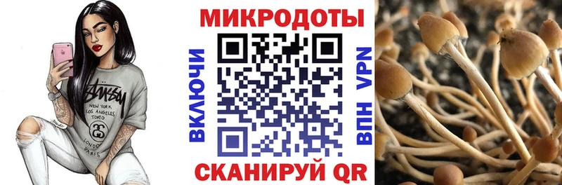 Галлюциногенные грибы Psilocybe  как найти закладки  Бавлы 